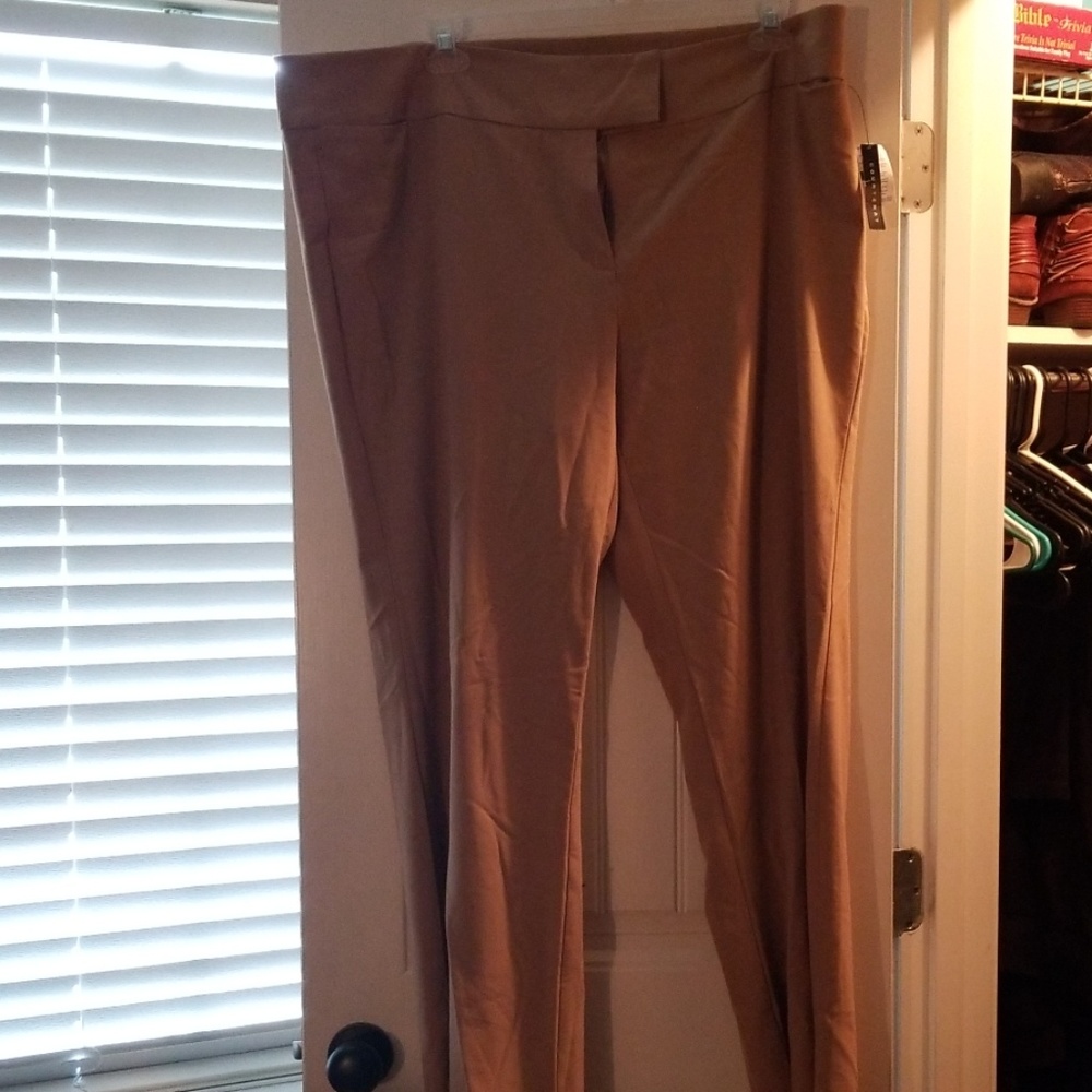 24W dress pants